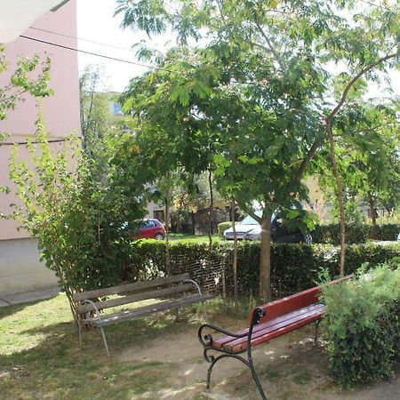 Apartament Apartament Anca Tîrgu Ocna Zewnętrze zdjęcie
